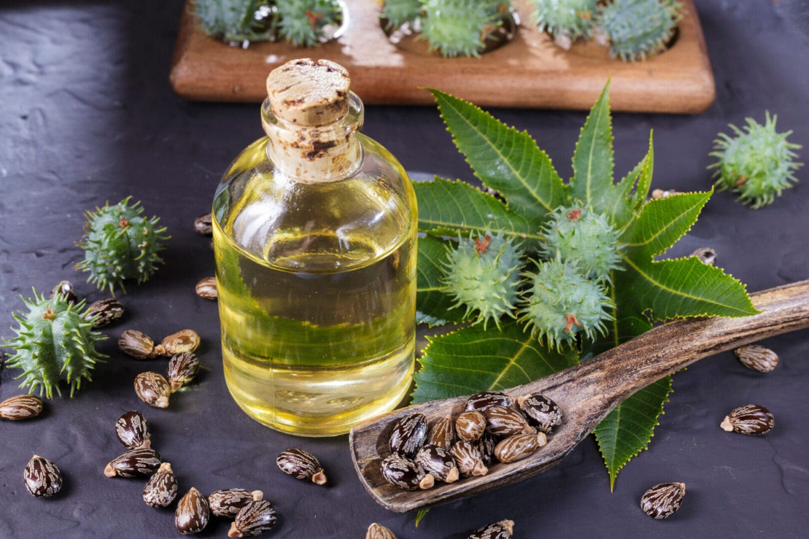 Castor oil, seeds, and leaves on slate.