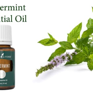 A bottle of peppermint essential oil next to fresh mint.