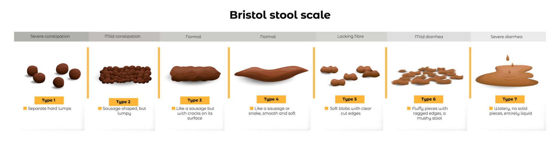 Bristol stool chart showing different stool types.