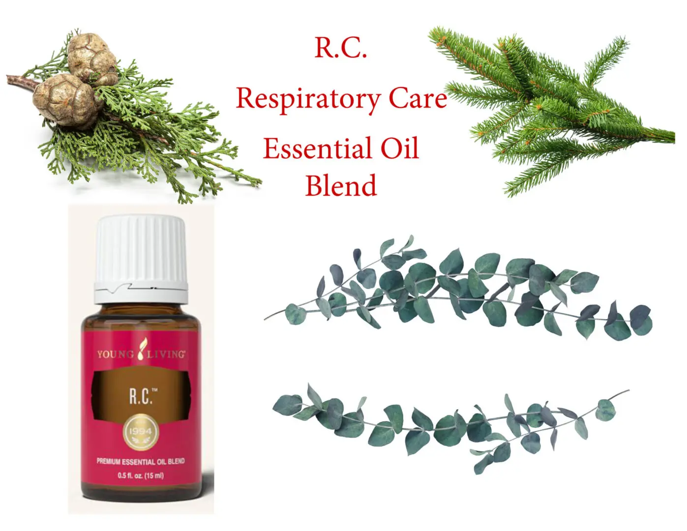 A bottle of respiratory care essential oil blend