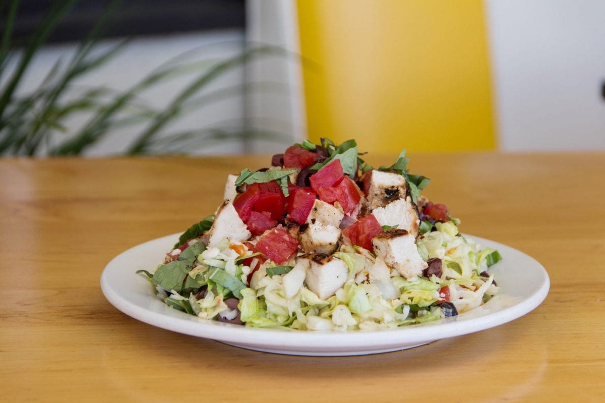 Grilled chicken salad with tomatoes and basil.