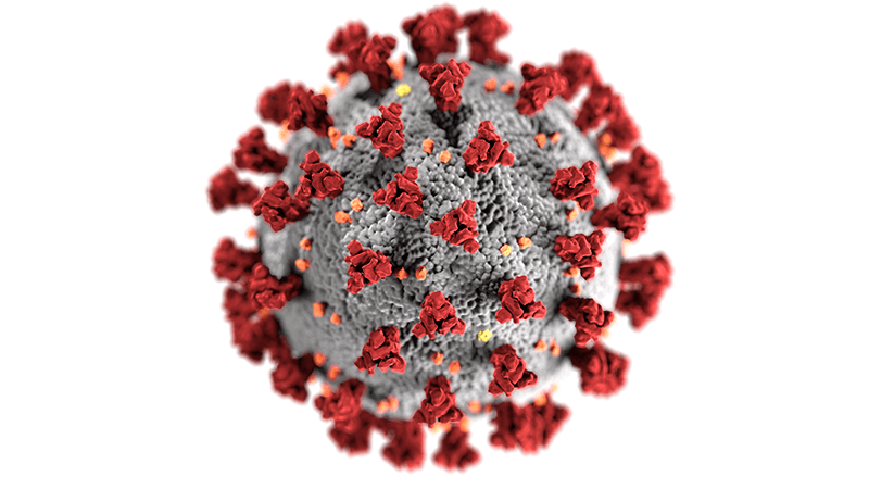 Microscopic image of the COVID-19 virus.