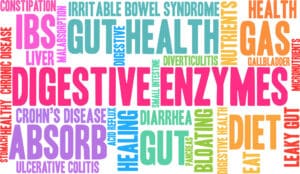 Digestive health word cloud illustration.