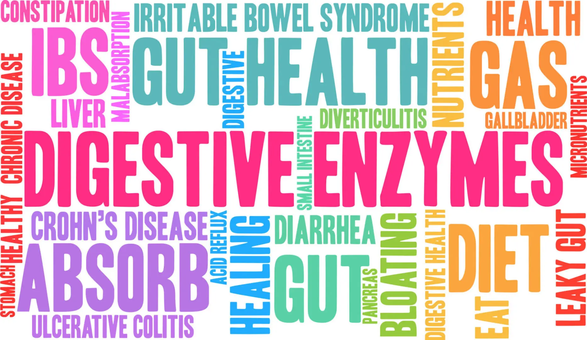 Digestive health word cloud illustration.