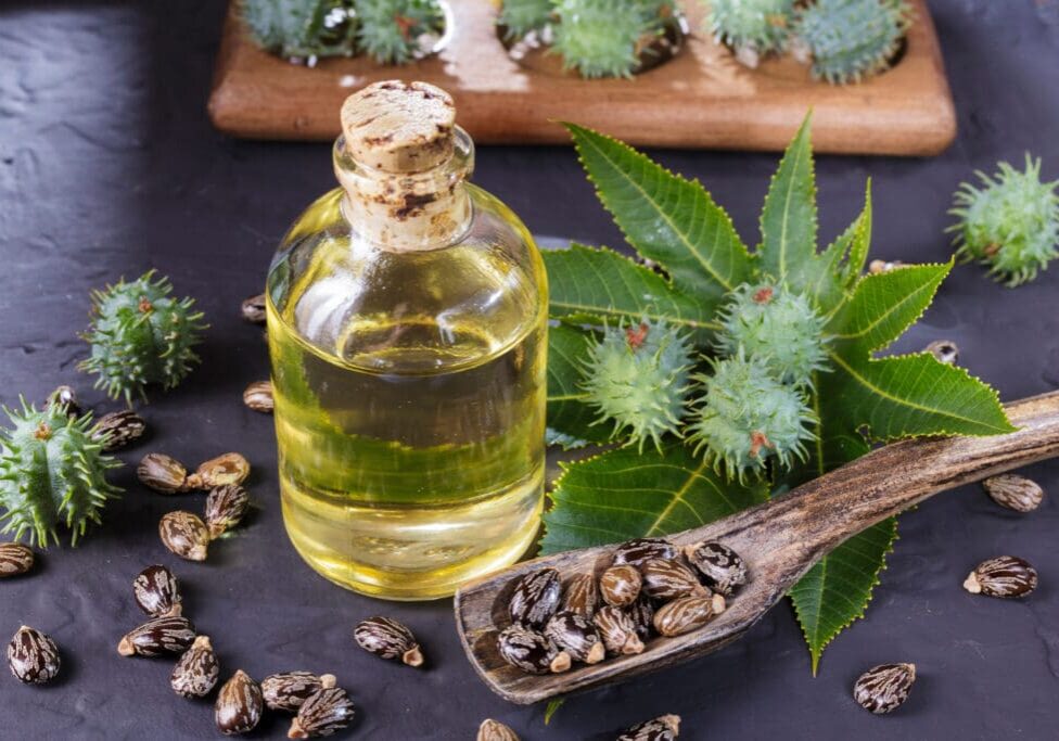 Castor oil, seeds, and leaves on slate.