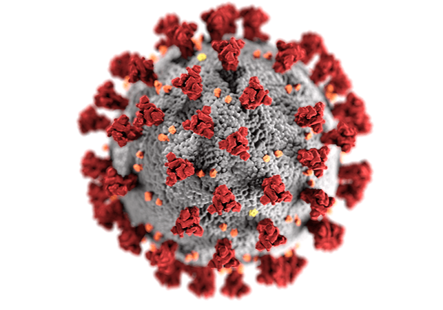 Microscopic image of the COVID-19 virus.