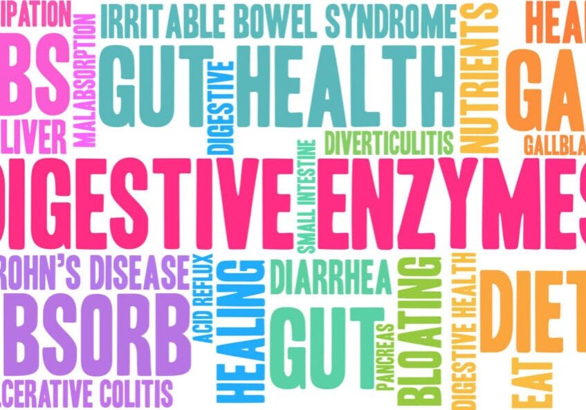 Digestive health word cloud illustration.