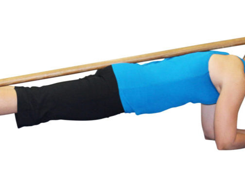 Woman doing a plank with a stick on her back.